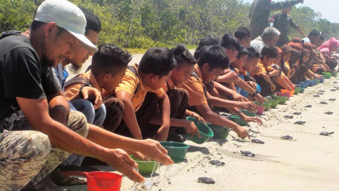 Siswa (i) SD Ujung Mangki Lepas  Anak Penyu Di Pantai Singgah Mata