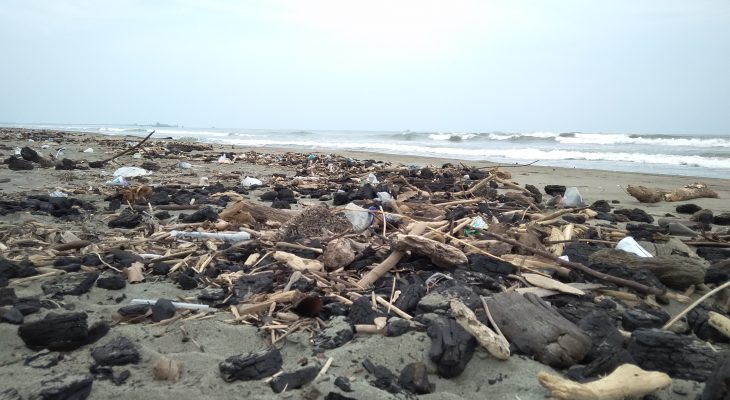 Besok, Ceceran Batubara di Pantai Peunaga Dibersihkan