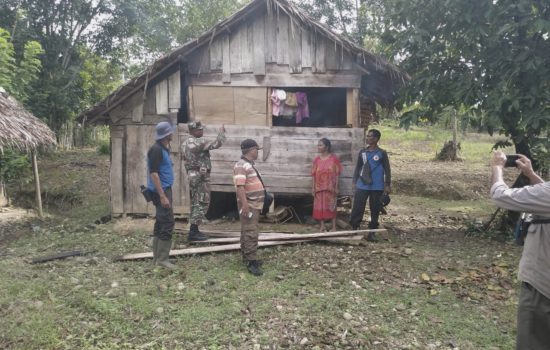 Gajah Liar Kembali Usik Warga Desa Tuwi Meuleusong