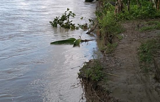 Abrasi Mengancam Desa Tuwi buya