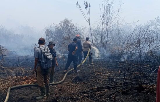 13,5 Hektar Lahan Terbakar di Nagan Raya